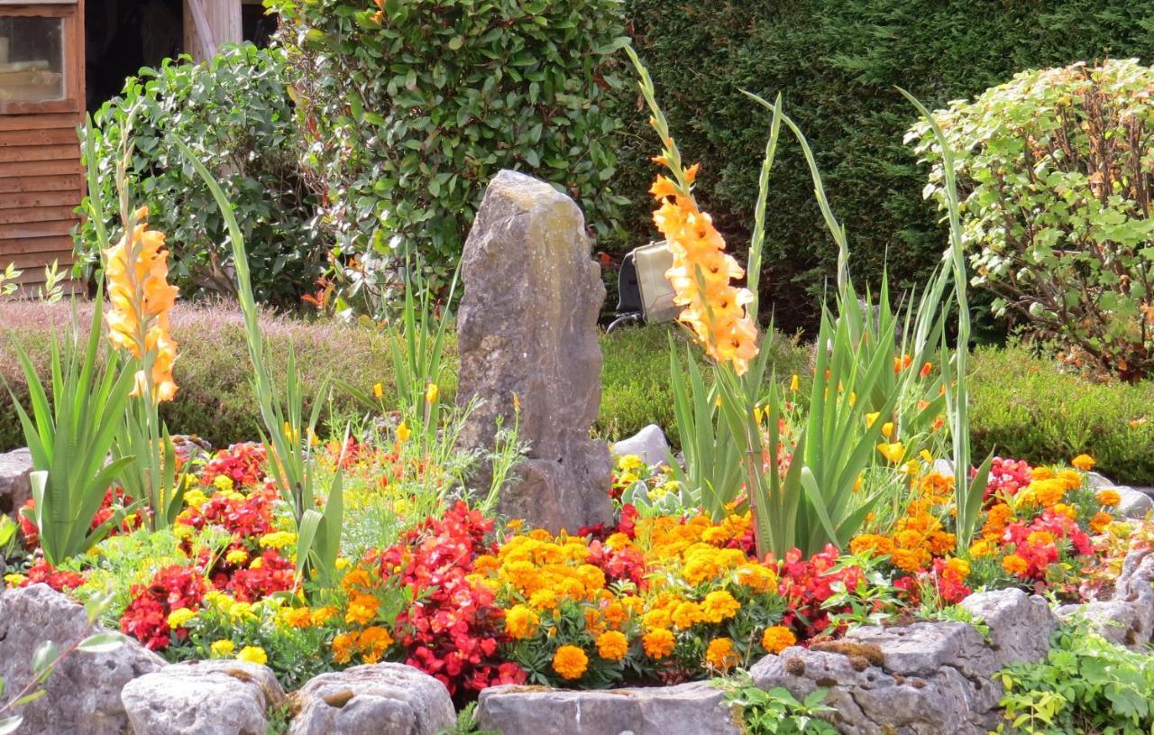 Tyreda Bed & Breakfast Ennis Bagian luar foto
