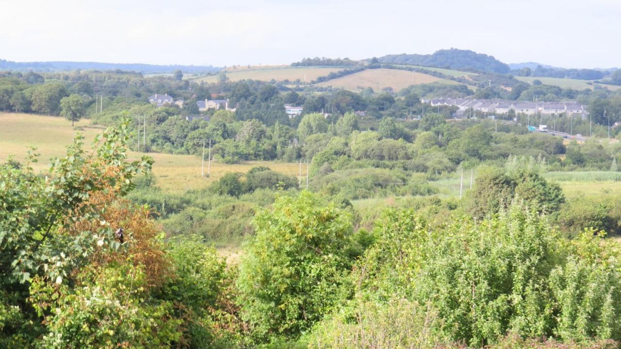 Tyreda Bed & Breakfast Ennis Bagian luar foto